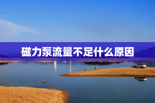 磁力泵流量不足什么原因