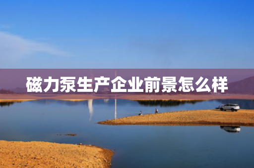 磁力泵生产企业前景怎么样
