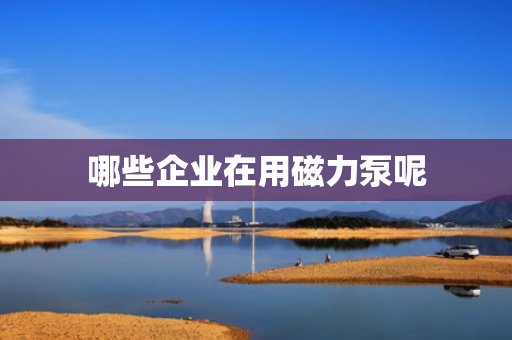 哪些企业在用磁力泵呢