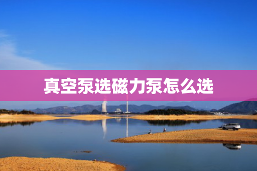 真空泵选磁力泵怎么选