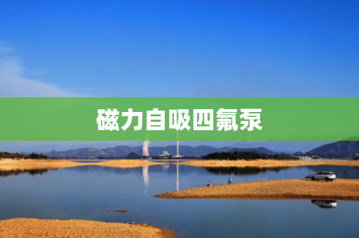 磁力自吸四氟泵