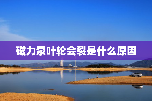 磁力泵叶轮会裂是什么原因