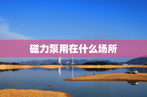 磁力泵用在什么场所