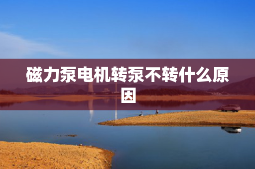 磁力泵电机转泵不转什么原因