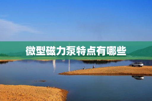 微型磁力泵特点有哪些