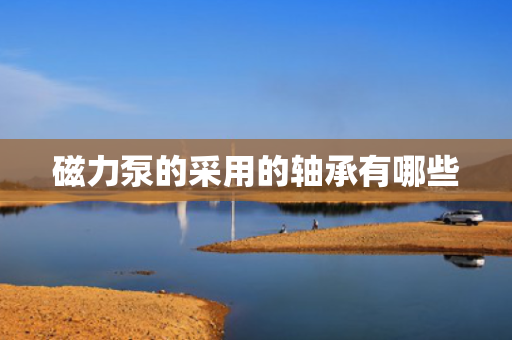 磁力泵的采用的轴承有哪些
