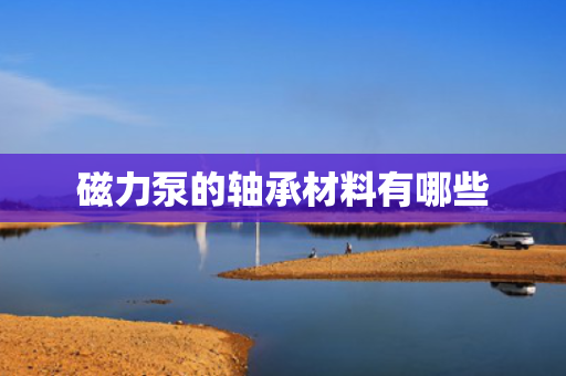 磁力泵的轴承材料有哪些