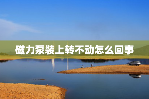 磁力泵装上转不动怎么回事
