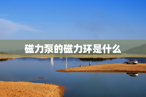 磁力泵的磁力环是什么