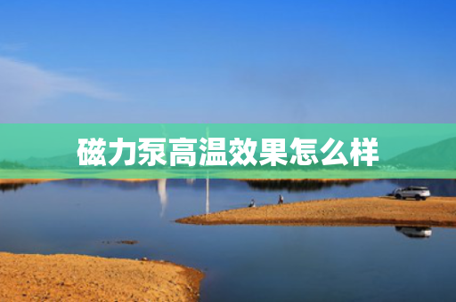 磁力泵高温效果怎么样