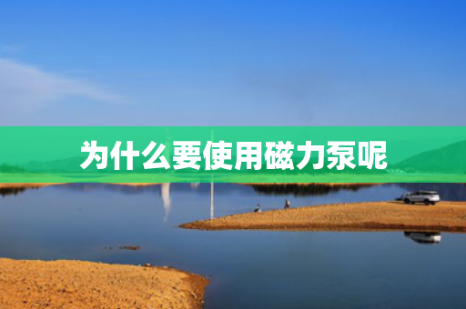 为什么要使用磁力泵呢