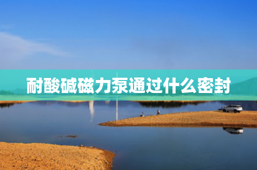 耐酸碱磁力泵通过什么密封
