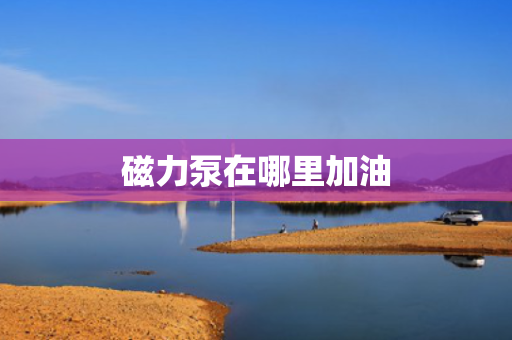 磁力泵在哪里加油