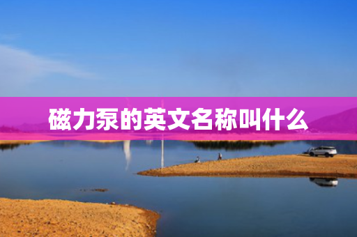 磁力泵的英文名称叫什么