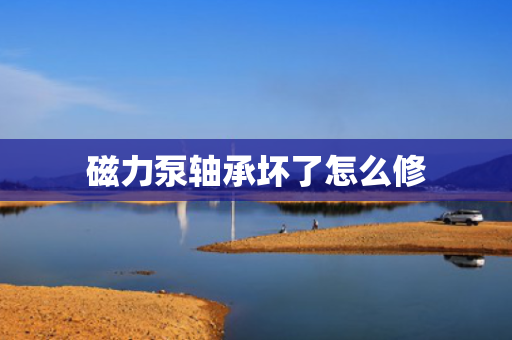 磁力泵轴承坏了怎么修