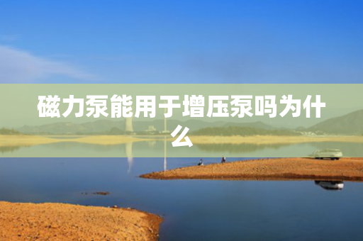 磁力泵能用于增压泵吗为什么