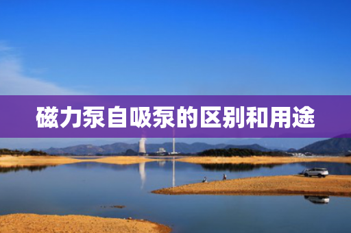 磁力泵自吸泵的区别和用途