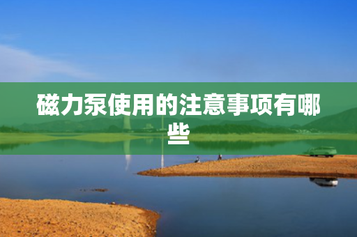 磁力泵使用的注意事项有哪些