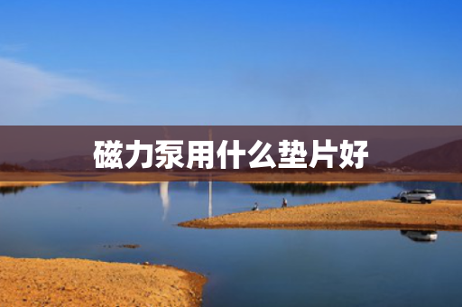 磁力泵用什么垫片好