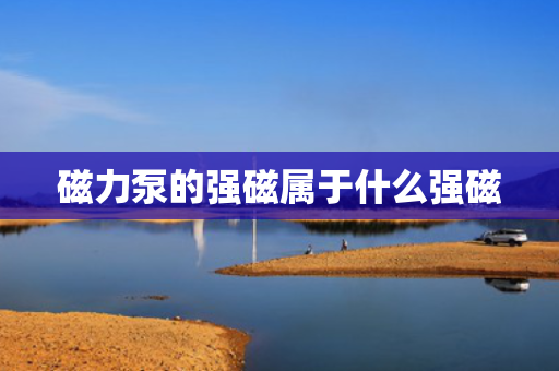 磁力泵的强磁属于什么强磁