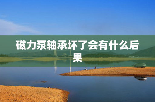 磁力泵轴承坏了会有什么后果