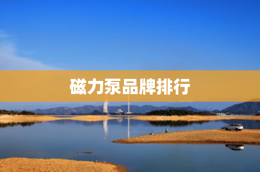 磁力泵品牌排行