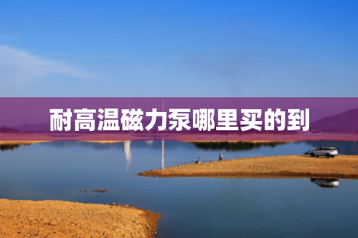 耐高温磁力泵哪里买的到