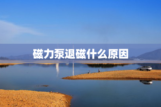 磁力泵退磁什么原因