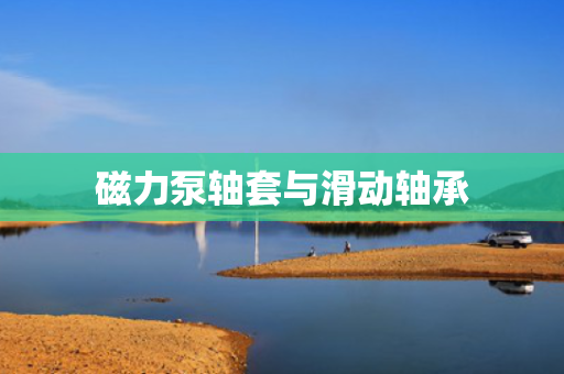 磁力泵轴套与滑动轴承
