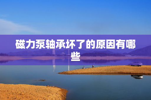 磁力泵轴承坏了的原因有哪些