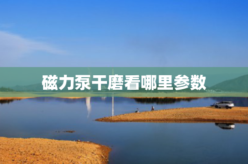 磁力泵干磨看哪里参数