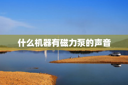 什么机器有磁力泵的声音