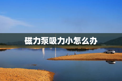 磁力泵吸力小怎么办