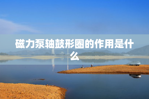 磁力泵轴鼓形圈的作用是什么