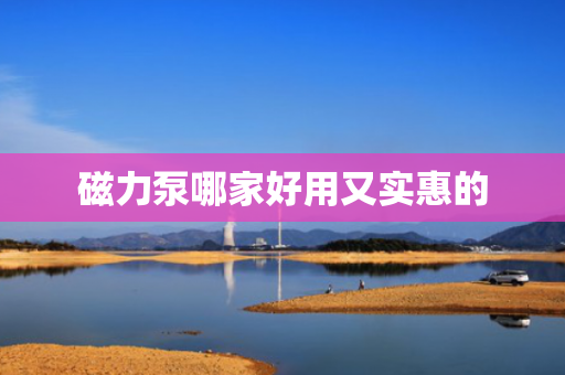 磁力泵哪家好用又实惠的