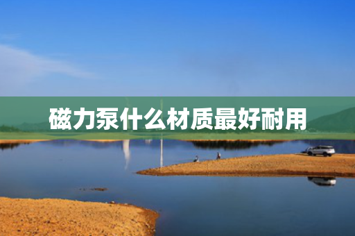 磁力泵什么材质最好耐用