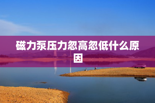 磁力泵压力忽高忽低什么原因