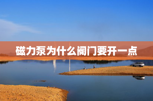 磁力泵为什么阀门要开一点