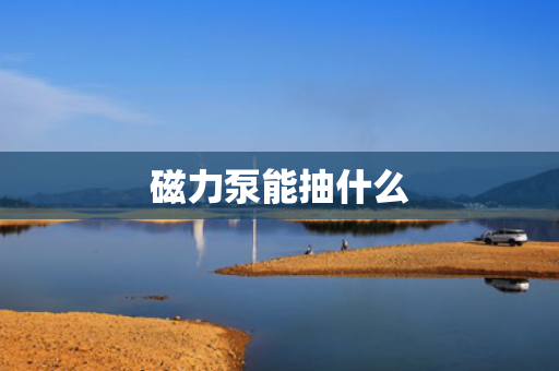 磁力泵能抽什么