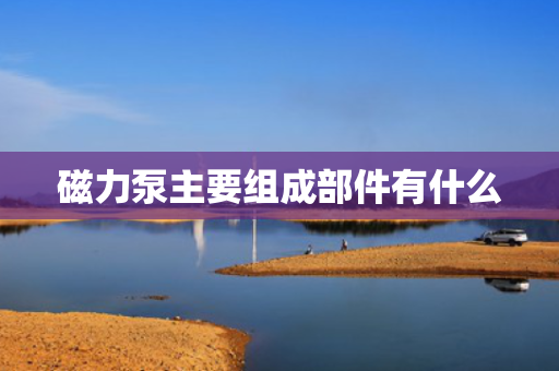 磁力泵主要组成部件有什么
