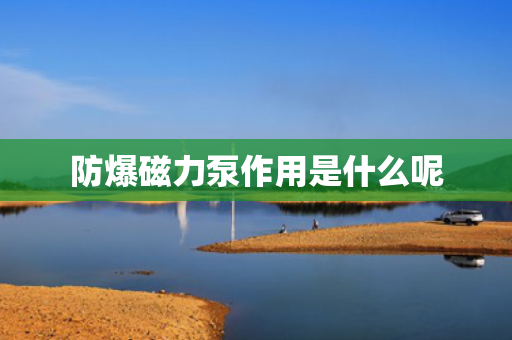 防爆磁力泵作用是什么呢