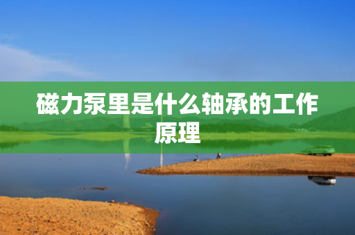 磁力泵里是什么轴承的工作原理
