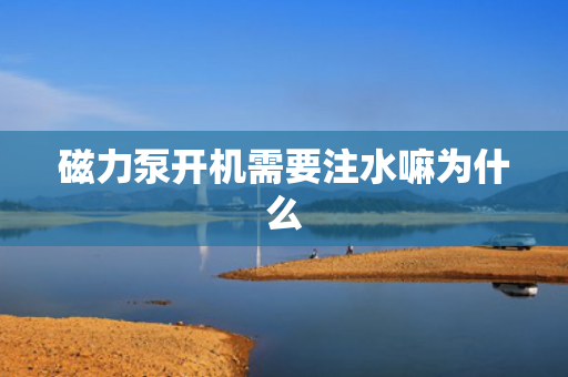 磁力泵开机需要注水嘛为什么