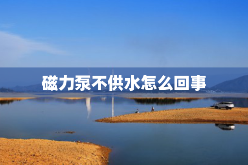 磁力泵不供水怎么回事
