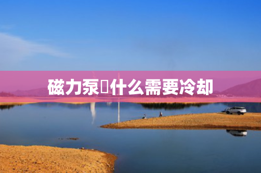 磁力泵為什么需要冷却