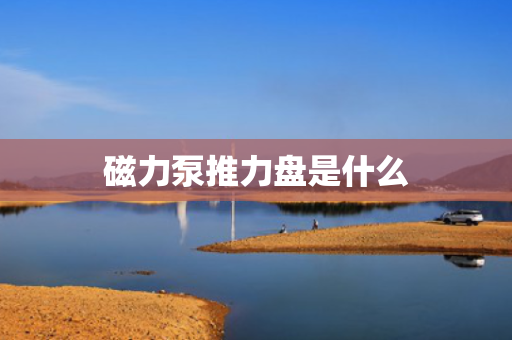磁力泵推力盘是什么