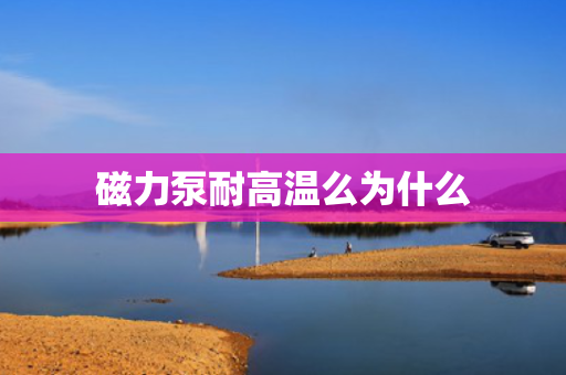 磁力泵耐高温么为什么