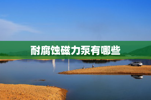 耐腐蚀磁力泵有哪些