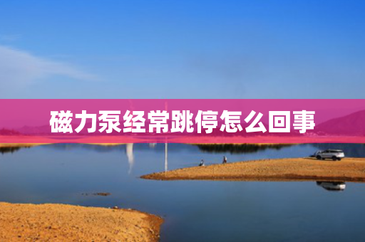 磁力泵经常跳停怎么回事