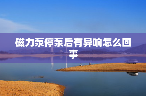磁力泵停泵后有异响怎么回事